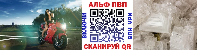 кракен сайт Бирюч Alpha PVP СК