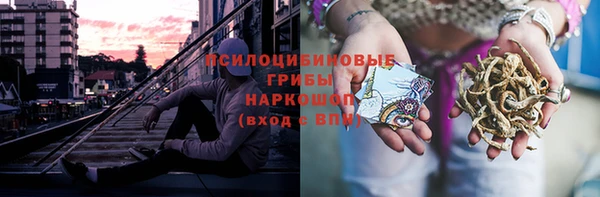 хмурый Богданович